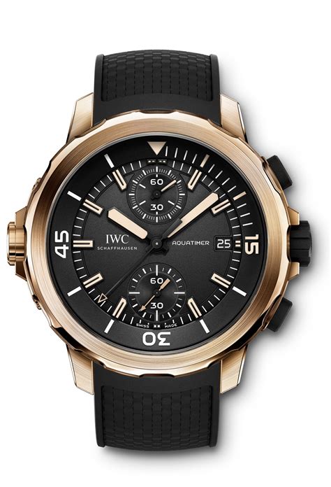 iwc darwin price|IWC Aquatimer Chronograph Charles Darwin IW379503.